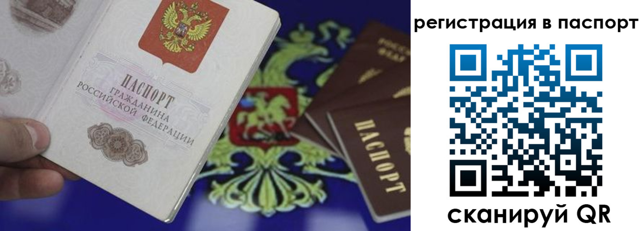 прописка законно в Тольятти